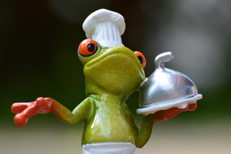Gourmet experiences